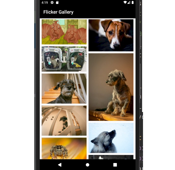flickr photos search api